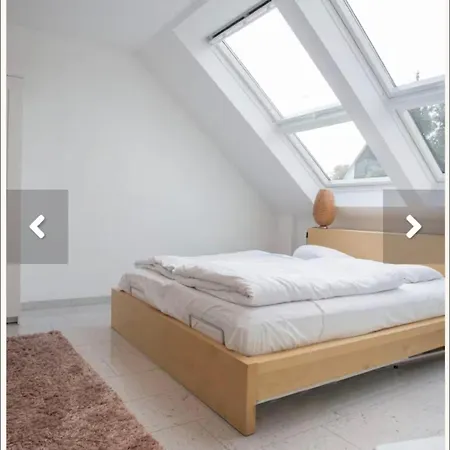 Winterberg Appartement Appartement